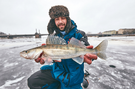 Ziemas izaicinājums — zandarts. Ziemas izaicinājums — zandarts.