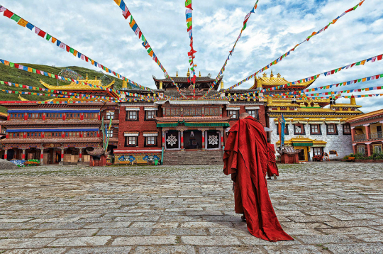 Lama dodas uz templi.