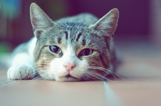 Ilustratīvs attēls.