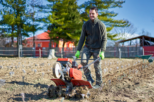 Lai augsne būtu irdenāka, vēlams to apstrādāt vismaz divas trīs reizes, pakāpeniski palielinot dziļumu. Lai augsne būtu irdenāka, vēlams to apstrādāt vismaz divas trīs reizes, pakāpeniski palielinot dziļumu.