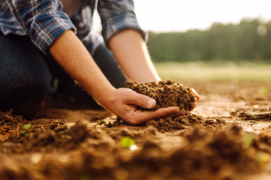Augi, kas augs auglīgā, strukturētā augsnē, nenonāks stresa stāvoklī un dos labu ražu.