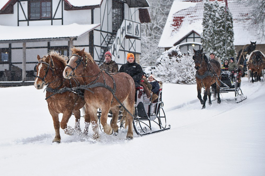 Izbraucieni divjūga kamanās pa ainavisko zirgu sētas "Klajumi" apkārtni Krāslavas novadā šoziem ir ļoti iecienīti. "Klajumu" jaunsaimniecība izveidota ar ulmaņlaiku valsts politikas atbalstu, lai stiprinātu Latvijas austrumu robežu. Šobrīd tā ir Latvijas šķirnes zirgu audzēšanas un bioloģiskā saimniecība. Izbraucieni divjūga kamanās pa ainavisko zirgu sētas "Klajumi" apkārtni Krāslavas novadā šoziem ir ļoti iecienīti. "Klajumu" jaunsaimniecība izveidota ar ulmaņlaiku valsts politikas atbalstu, lai stiprinātu Latvijas austrumu robežu. Šobrīd tā ir Latvijas šķirnes zirgu audzēšanas un bioloģiskā saimniecība.