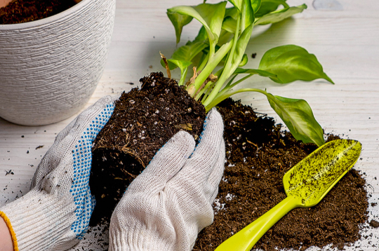 Ilustratīvs attēls. Ilustratīvs attēls.