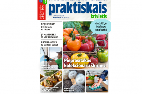 Jaunā žurnāla vāks. Jaunā žurnāla vāks.