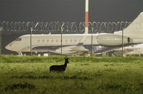 Filma dod iespēju nonākt lidostas pasažieriem slēgtajā un neredzamajā vidē, kur satiekas daba ar cilvēku radīto infrastruktūru.