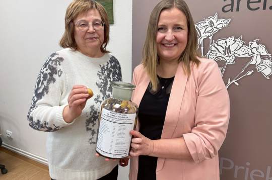 Kartupeļu selekcionāres Ilze Skrabule (no kreisās) un Ilze Dimante demonstrē siltumnīcā audzētos sīkbumbuļus, kurus stādīs laukā. Svarīga priekšrocība Latvijā izveidotajām šķirnēm ir tas, ka izlase veikta tieši šeit, līdz ar to šķirnes genotips ir labāk piemērots vietējiem audzēšanas apstākļiem nekā citur selekcionēta šķirne.