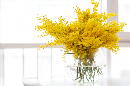 Ilustratīvs attēls.