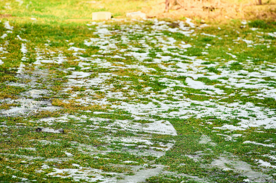 Kaļķošana uz sniega var būt pieļaujama, ja sniega sega ir plāna, augsne jau sāk atkust un nav gaidāma strauja noteces veidošanās.
