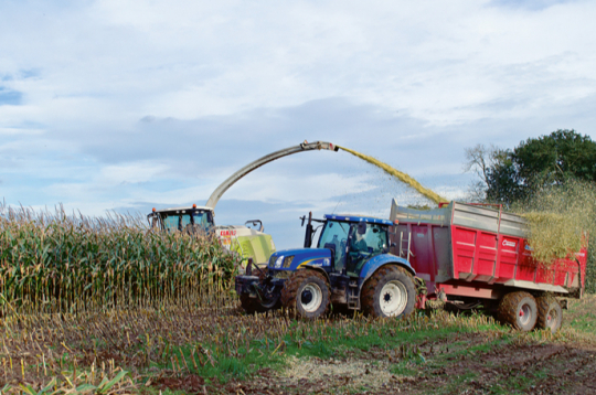 Pagājušajā sezonā laika apstākļi ietekmēja ne vien barības sagādes laiku, bet arī tās bioloģisko vērtību.