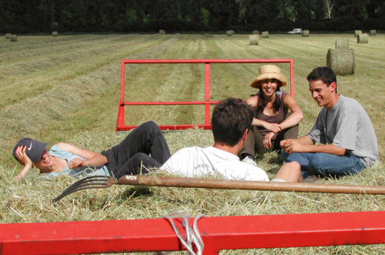 Lai arī daudzi jaunieši pauž vēlmi dzīvot lauku apvidos, daudzos gadījumos tā joprojām ir sarežģīta, ne vienmēr brīvprātīga pārcelšanās, jo jauniešu iespējas ir ierobežotas.