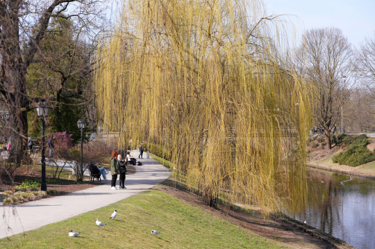 Rīgas pilsētas kanāls pavasarī.