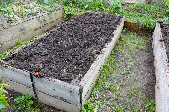 Ja komposts labi satrūdējis, ir tumšs, drupans un ar patīkamu zemes smaržu, to var izmantot kā vērtīgu pamatu augstajai dobei. 