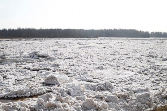 Daugavā ledus sakustējies.