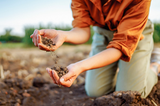 Paraugus var ņemt visu gadu neatkarīgi no laika apstākļiem gan vēlā rudenī, gan lietus laikā.