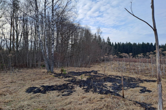 Sekas pēc drona nogāšanās Krāslavas novadā.