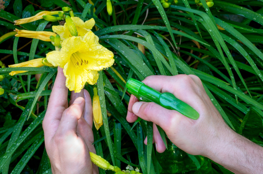 Profesionālā lauksaimniecībā AAL lietošana balstās uz nepieciešamību, novērojumu datiem un īsto laiku. Profesionālā lauksaimniecībā AAL lietošana balstās uz nepieciešamību, novērojumu datiem un īsto laiku.