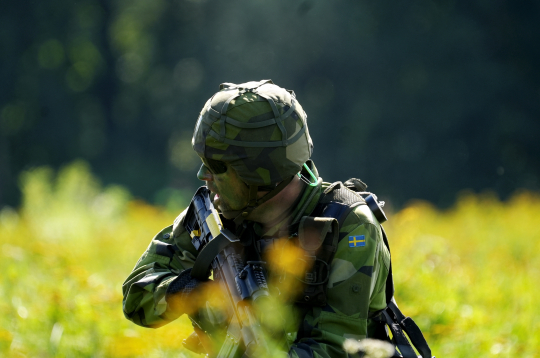 Nacionālo bruņoto spēku un sabiedroto spēku paraugdemonstrējums militāro mācību "Namejs 2025" laikā Zaķusalā.