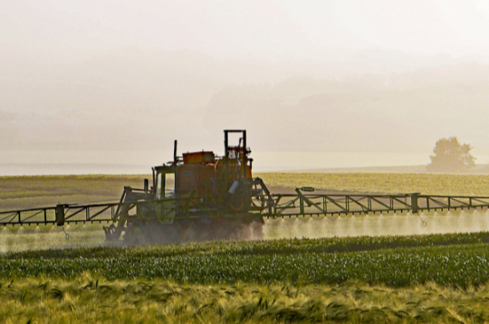 Lauku mēslošana pavasarī.