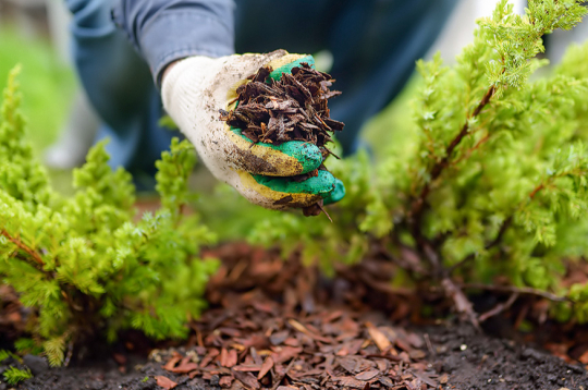 Ilustratīvs attēls.