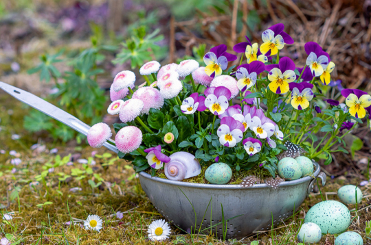 Savu laiku nokalpojušais caurduris ticis pie skaistas rotas.
