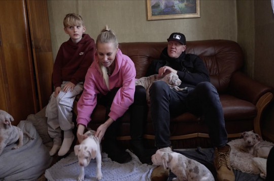 Kambalu pāris pie kucēniem.