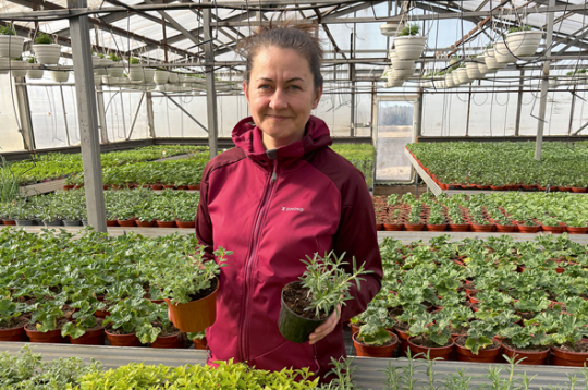 ZS "Zutiņi" saimniece Santa Meļķe: "Jau marta pēdējās dienās klientiem izsūtījām garšaugus Lieldienu mielastam – timiāns, raudene, rozmarīns un vēl citi garšaugi vienlaikus būs gan galda dekors, gan baudāmi produkti." ZS "Zutiņi" saimniece Santa Meļķe: "Jau marta pēdējās dienās klientiem izsūtījām garšaugus Lieldienu mielastam – timiāns, raudene, rozmarīns un vēl citi garšaugi vienlaikus būs gan galda dekors, gan baudāmi produkti."