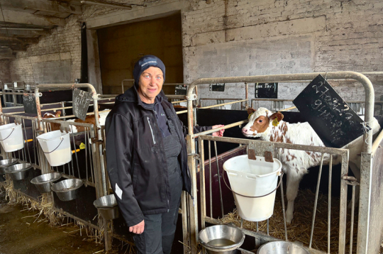 SIA "Kalnāji" lopkopības ražošanas vadītāja Ilze Lorence uzsver – pareiza un rūpīga teliņu aprūpe ir ļoti svarīgs nākamās gotiņas veselības un augsta izslaukuma rādītāja nosacījums.