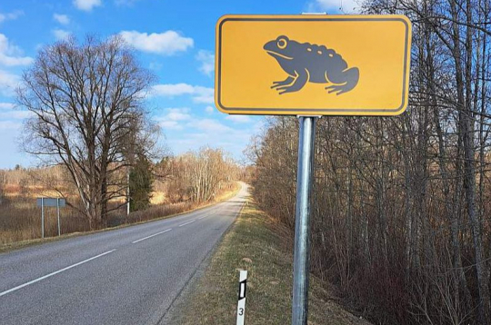 Ar speciālām ceļa zīmēm autovadītājus brīdina par krupju migrācijas ceļiem.