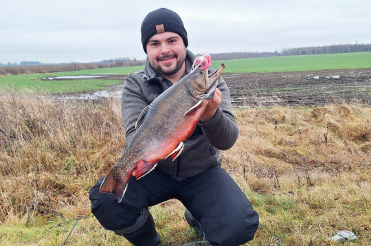 Kristaps Vītols. Kristaps Vītols.