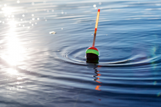 Pludiņmakšķerēšana. Pludiņmakšķerēšana.