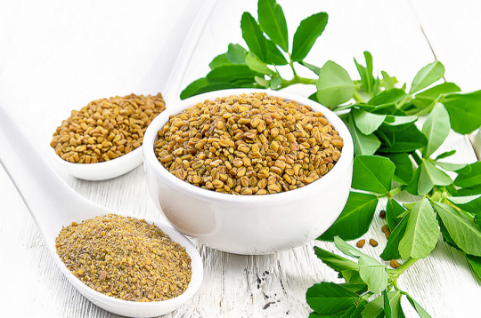 Sierāboliņa sēklas ir rūgtas, bet, pievienotas ēdienam nelielos daudzumos, izceļ tā garšas nianses.