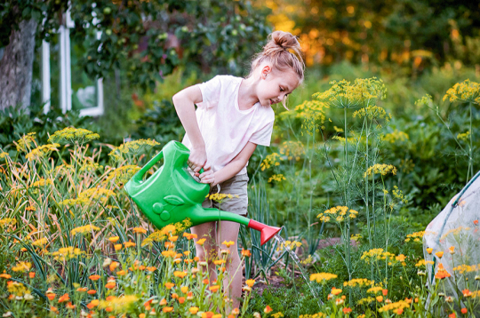 Ilustratīvs attēls.