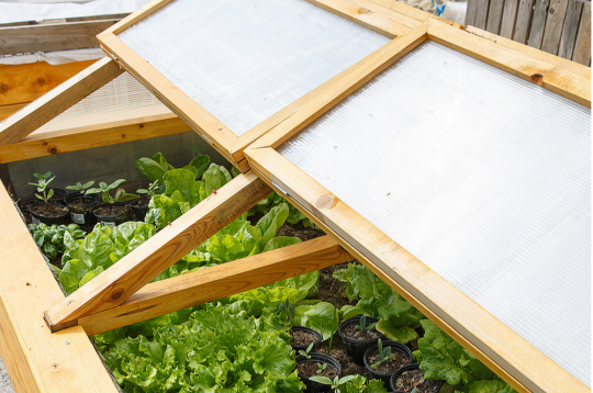 Lecekts ar paceļamu polikarbonāta vāku.