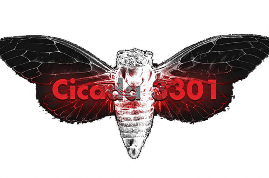 “Cicada 3301” ir mīklu komplekti, kas tika publicēti tiešsaistē, sākot no 2012. gada.