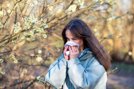 Alerģijas simptomu pārvaldīšanā noteikti jāiesaista ārsts un farmaceits.