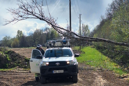 Vētras nogāzts koks. AS "Sadales tīkls" automašīna.