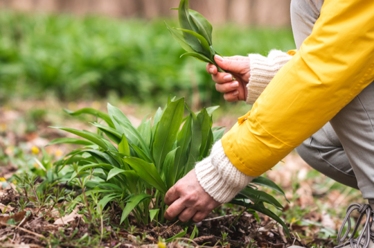 Ilustratīvs attēls.