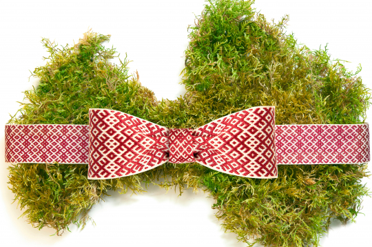 Ilustratīvs attēls.