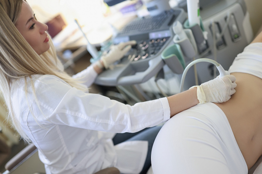Ultrasonogrāfija ļauj novērtēt nieru struktūru un apasiņošanu.