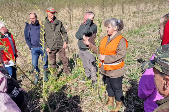 Melnalkšņu audzes piesaista oglekli un uzlabo augsnes aerāciju. Mazāk izdalās metāns. Paludikultūru ierīkošana ir viens no Latvijas risinājumiem klimata pārmaiņu mazināšanā," skaidro "Silavas" zinātniece Dagnija Lazdiņa.