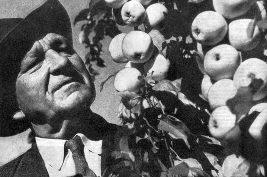 Pēteris Upītis (1896–1976).