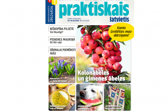 Jaunā žurnāla vāks. Jaunā žurnāla vāks.