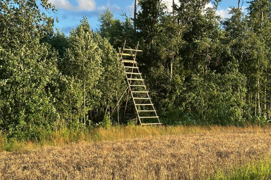 Mednieku taisītā trepe – pielāgota konkrētiem apstākļiem.