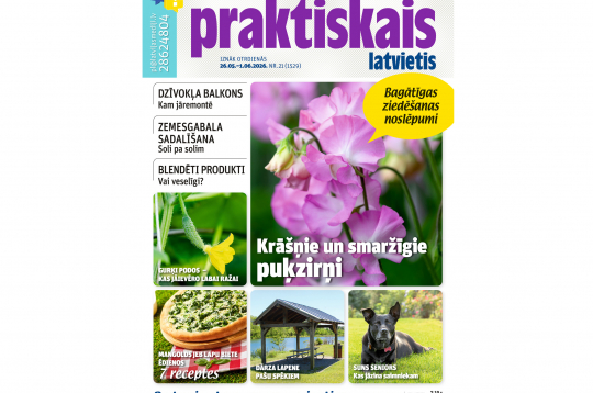 Jaunā žurnāla vāks. Jaunā žurnāla vāks.