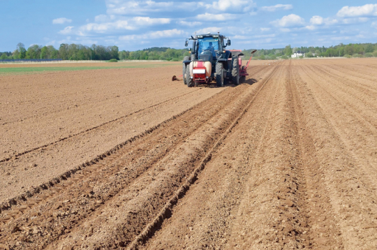Čipsu kartupeļu stādīšana Pierīgā, SIA "Latfood Agro" apsaimniekotajos laukos Ādažos. Kartupeļu stādīšana notiek ar četrrindu stādītāju. Desmit dienās saimniecībā iestādīja kartupeļus 61 ha platībā.