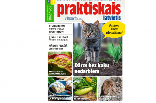 Jaunā žurnāla vāks. Jaunā žurnāla vāks.