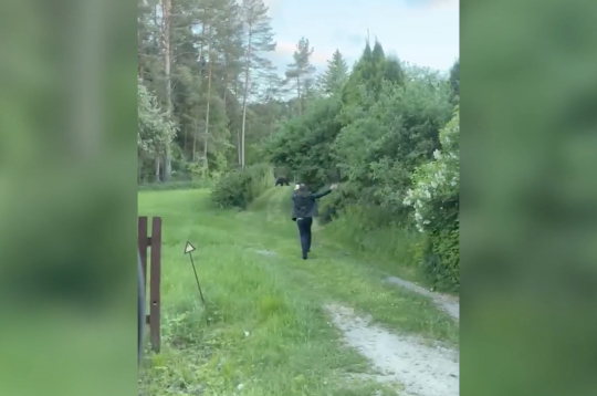 Cilvēks izkāpa no mašīnas un vēl skrēja ar telefonu lācim pakaļ... 
