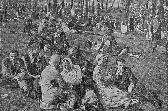 Zaļumnieki Ķīšezera priedēs 20. gs. 30. gados.