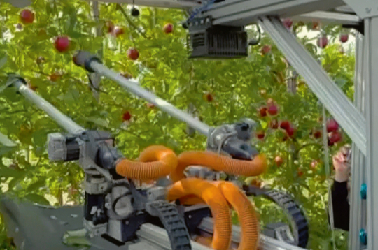 Divrocīgais robots.