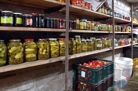 Pagrabā vienkopus tiek uzglabāts daudz dažādu produktu, līdz ar to ir labvēlīga vide, kur izplatīties dažādām slimībām Pagrabā vienkopus tiek uzglabāts daudz dažādu produktu, līdz ar to ir labvēlīga vide, kur izplatīties dažādām slimībām